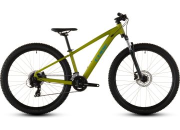 Cube Acid 260 Disc lizard´n´blue